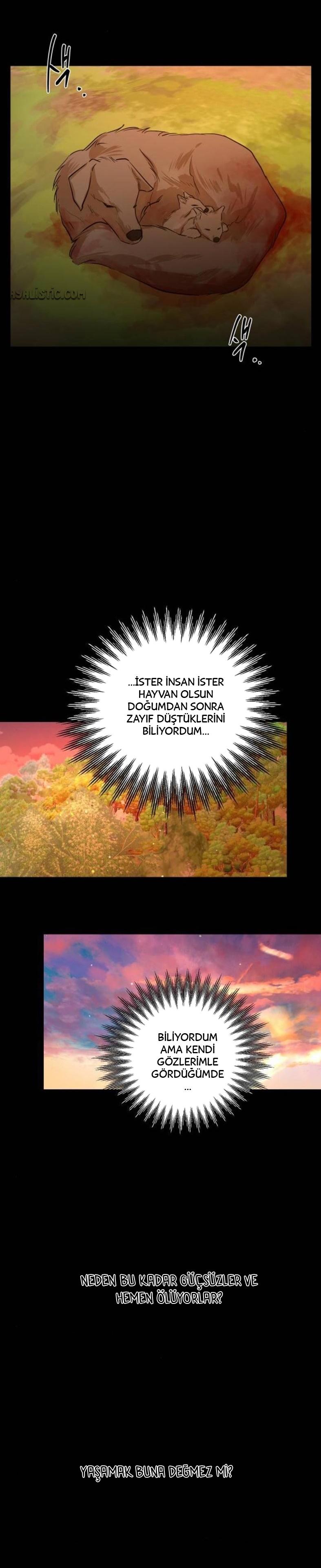22-cm2xdfr0s0001tt82570od8ls
