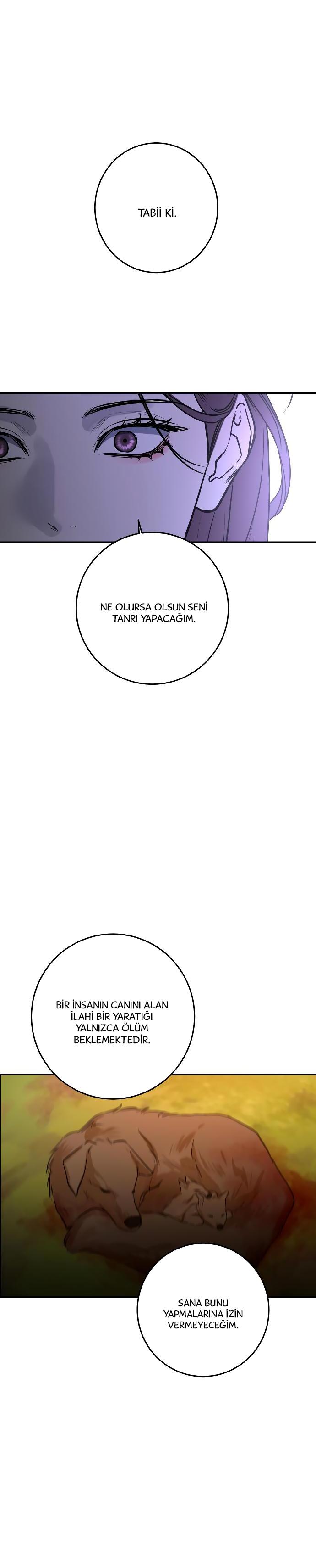 21-cm2xdfr0s0001tt82570od8ls