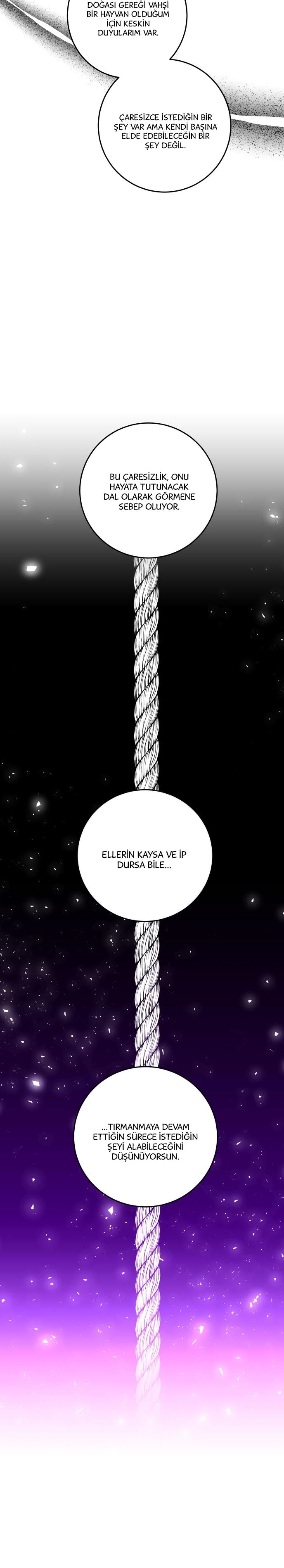 23-cm2xdfr0s0001tt82570od8ls