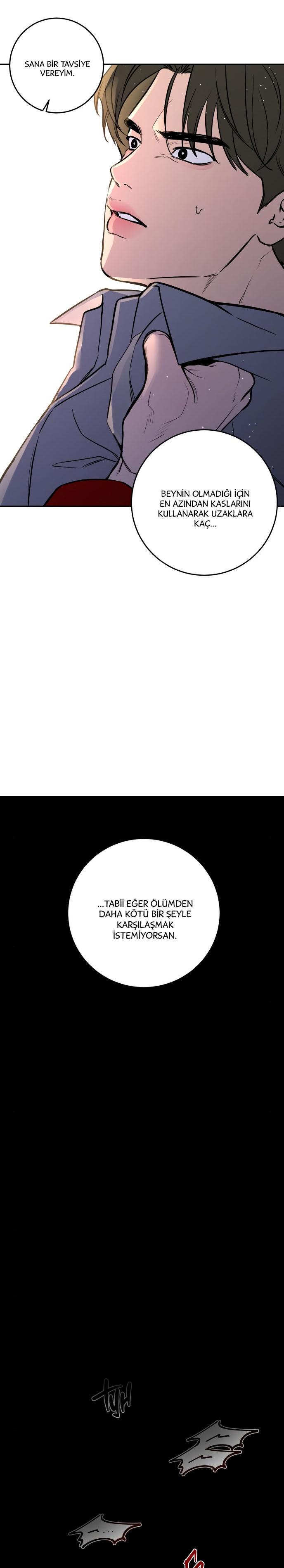 24-cm2xdfr0s0001tt82570od8ls