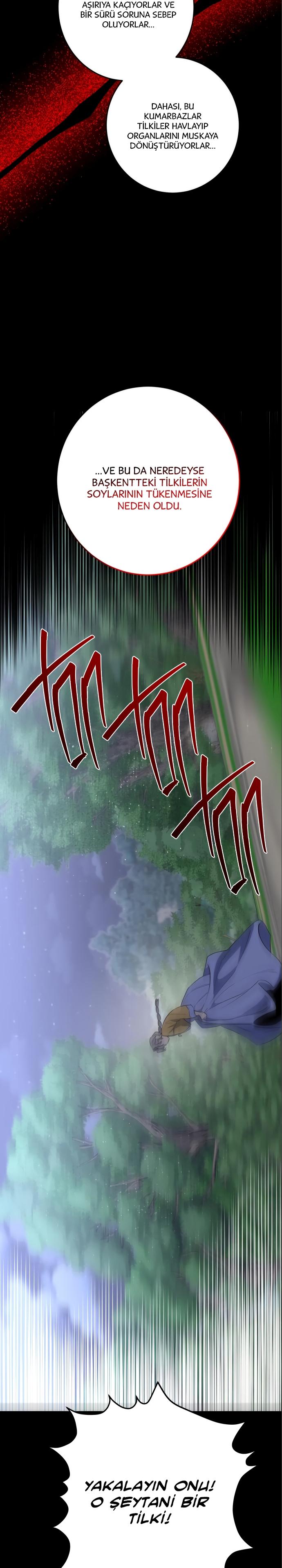 6-cm2xdfr0s0001tt82570od8ls