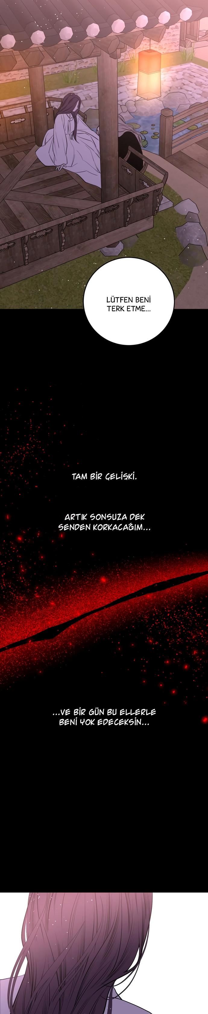 24-cm2xdfr0s0001tt82570od8ls