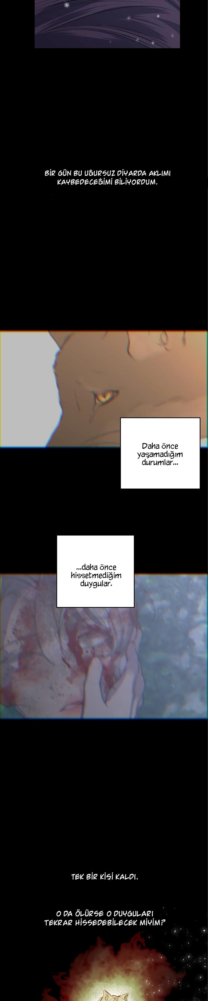3-cm2xdfr0s0001tt82570od8ls