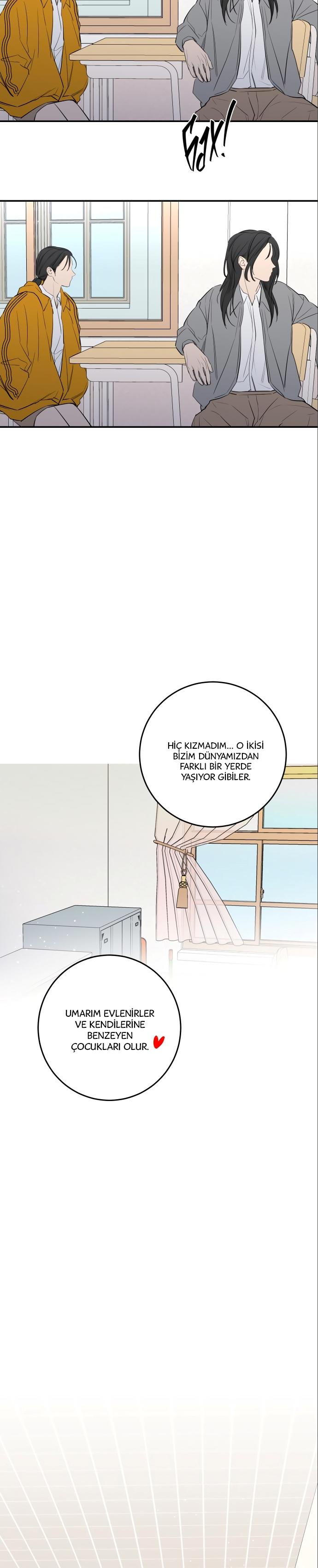 22-cm2xdfr0s0001tt82570od8ls