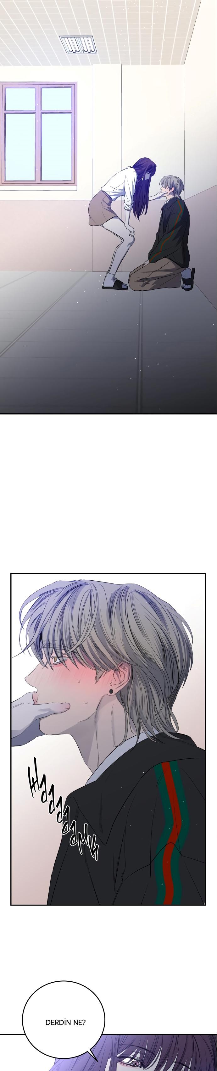 23-cm2xdfr0s0001tt82570od8ls