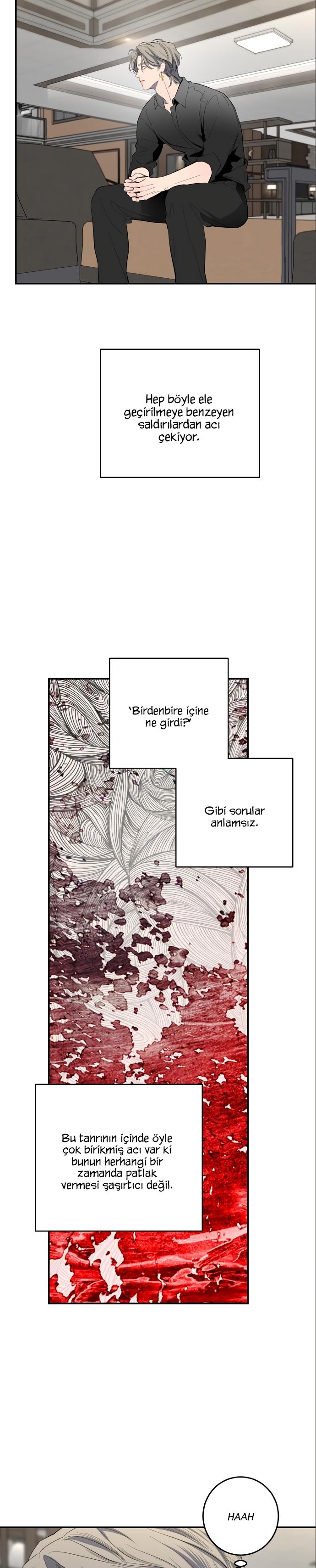 17-cm2xdfr0s0001tt82570od8ls