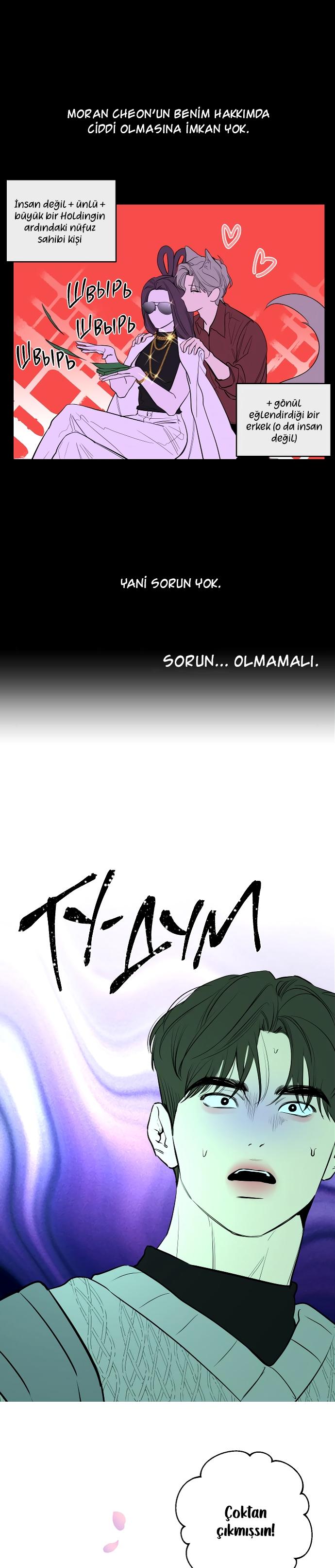 8-cm2xdfr0s0001tt82570od8ls