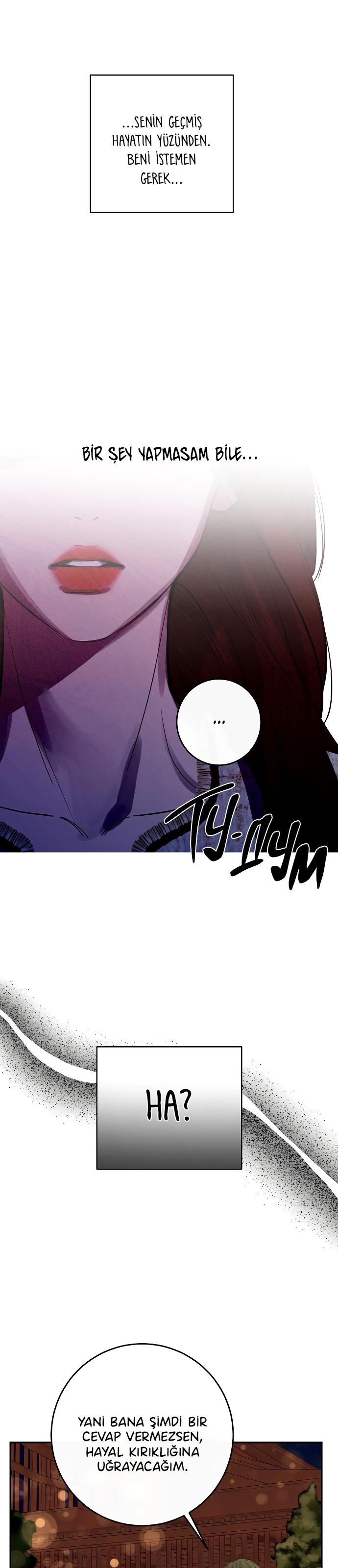 24-cm2xdfr0s0001tt82570od8ls