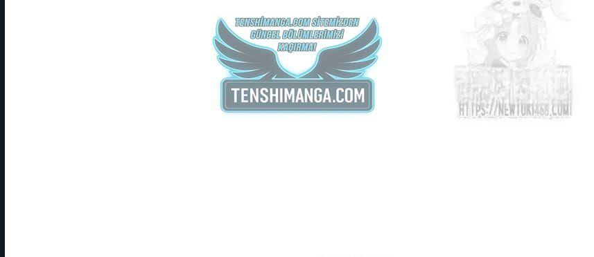 100-cmnq2268807i4ucwa0pciz3a1
