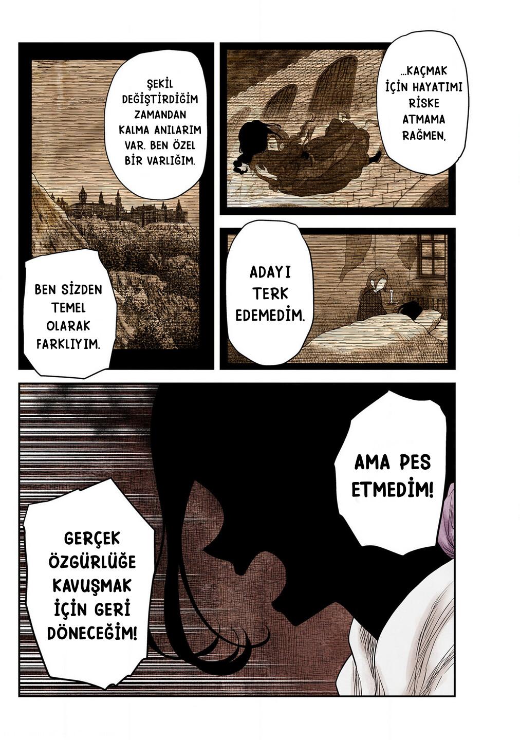 5-cm5ya3xt20000eovjogi0rsko