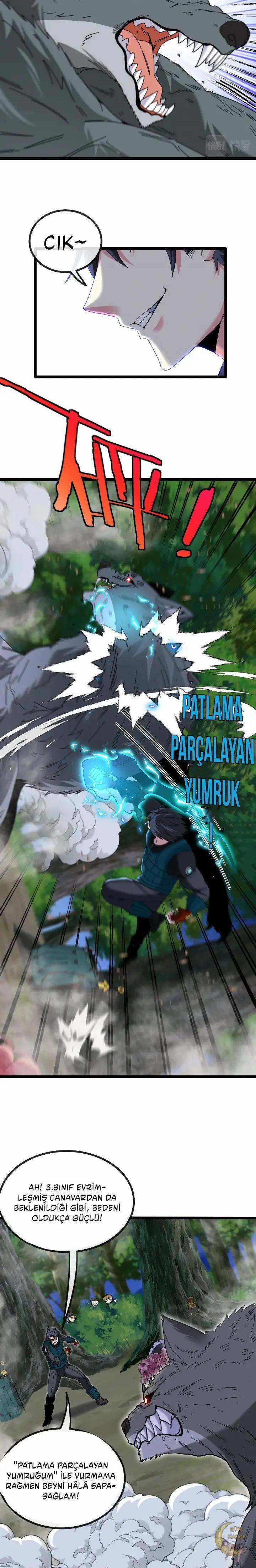 11-cmnq2268807i4ucwa0pciz3a1