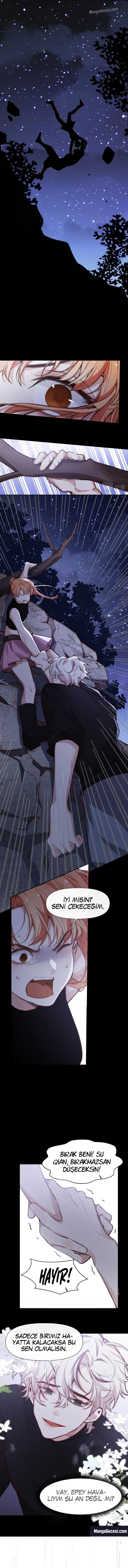4-cm2xdfr0s0001tt82570od8ls