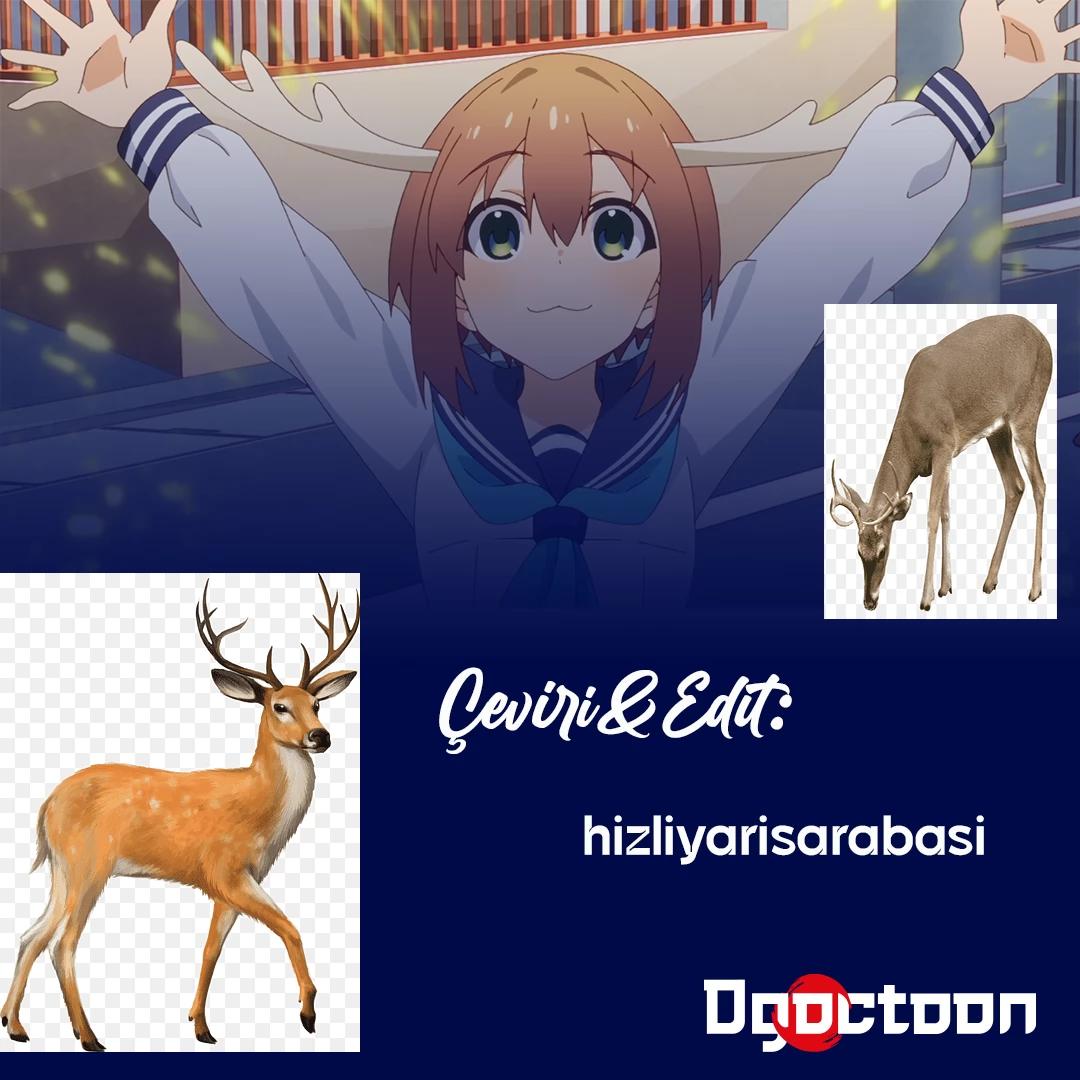 23-cm5ya3xt20000eovjogi0rsko