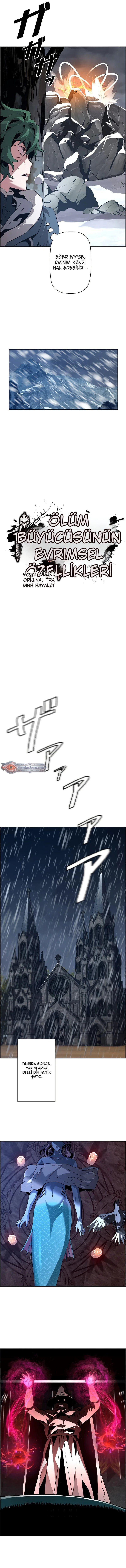 3-cmnq2268807i4ucwa0pciz3a1