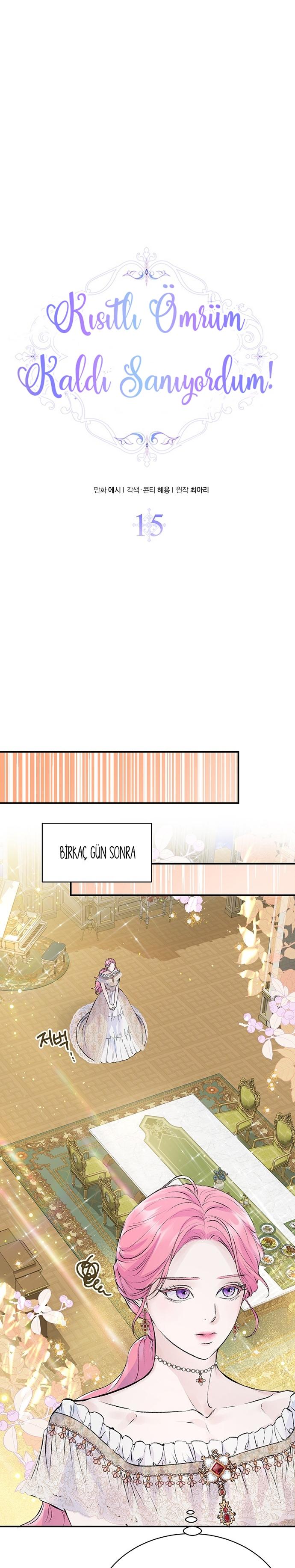 3-cmc1vvo430025phxcd4xhnki2