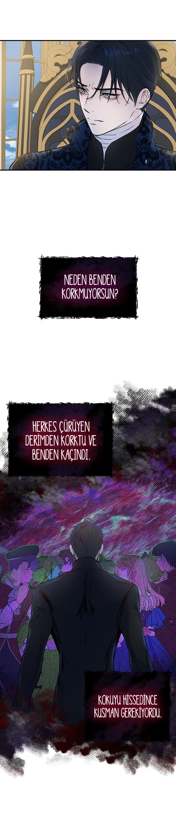 2-cmc1vvo430025phxcd4xhnki2