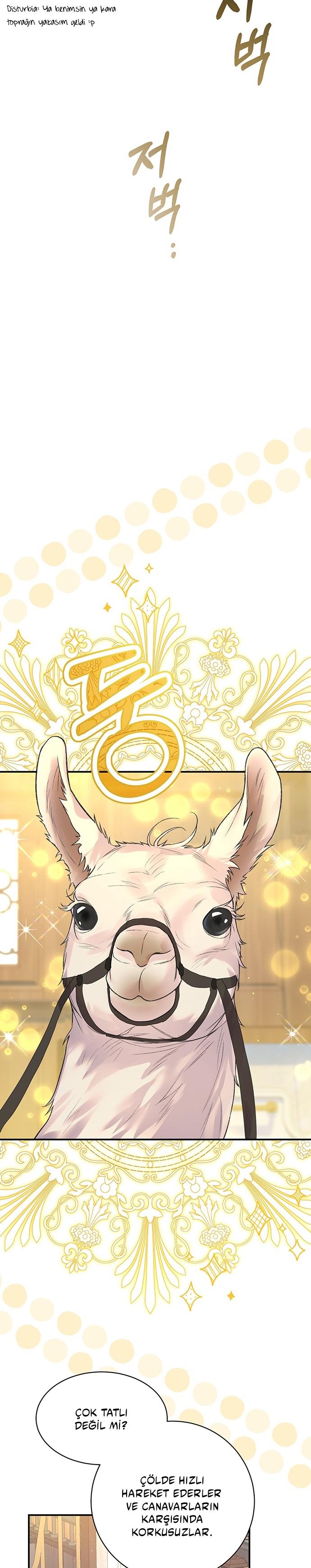 28-cmc1vvo430025phxcd4xhnki2