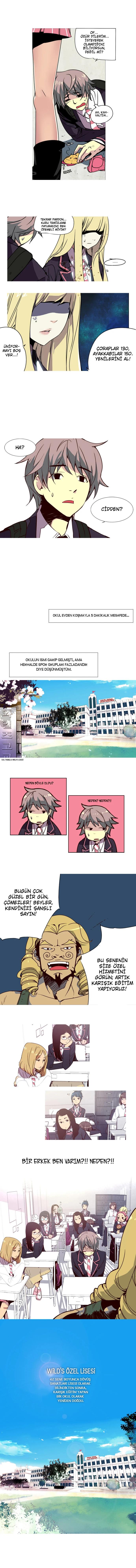 7-cm6tl4vtm031pfejyfy6r4o2t