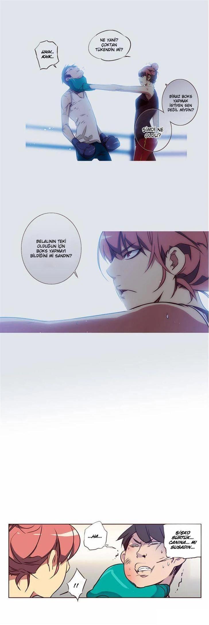 3-cm6tl4vtm031pfejyfy6r4o2t