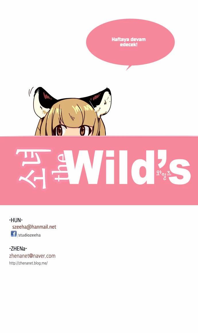 18-cm6tl4vtm031pfejyfy6r4o2t