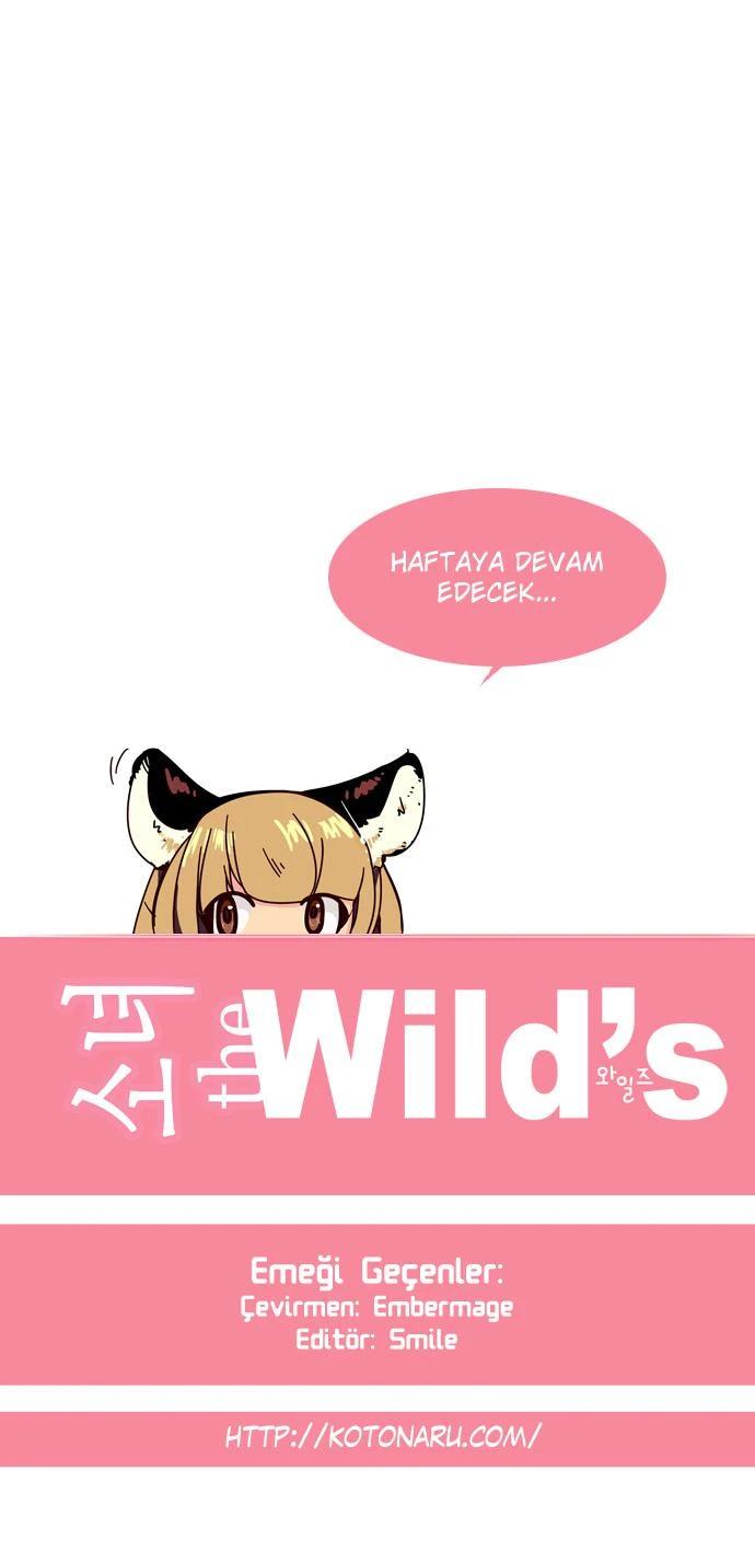 14-cm6tl4vtm031pfejyfy6r4o2t