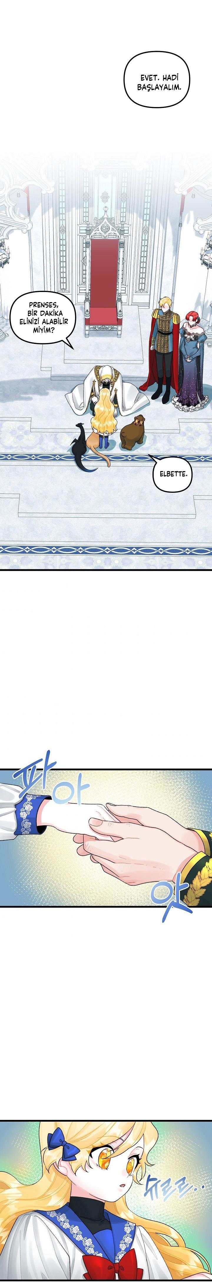 13-cmc1vvo430025phxcd4xhnki2