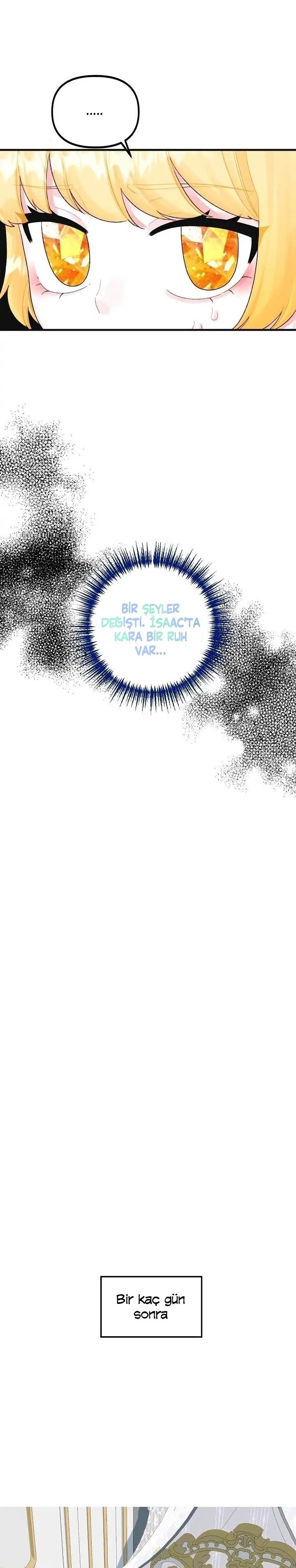 12-cmc1vvo430025phxcd4xhnki2