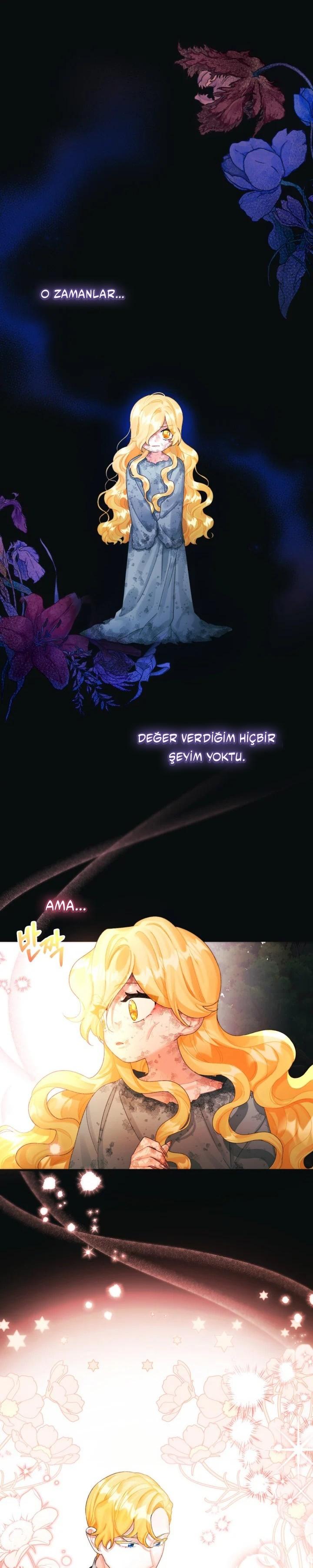 2-cmc1vvo430025phxcd4xhnki2
