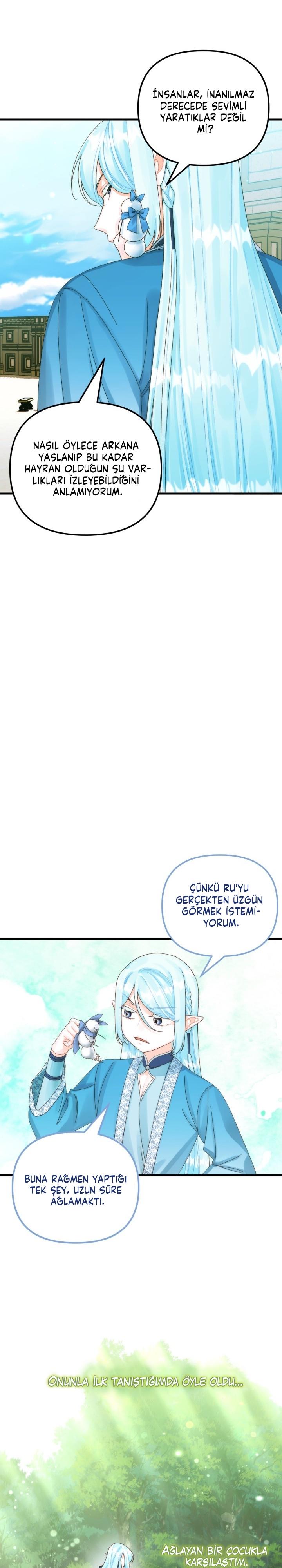 5-cmc1vvo430025phxcd4xhnki2