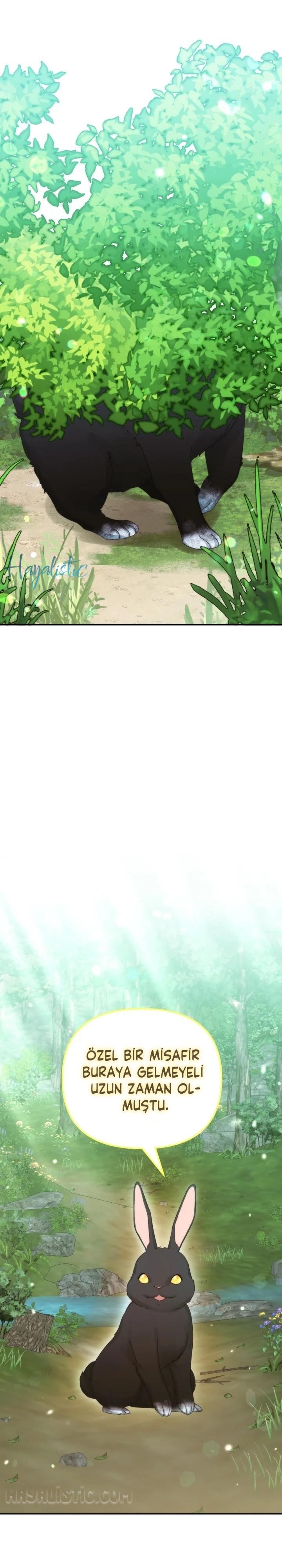 3-cmc1vvo430025phxcd4xhnki2