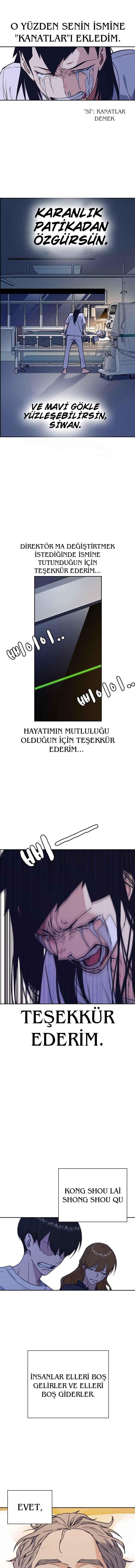 12-cmnq2268807i4ucwa0pciz3a1