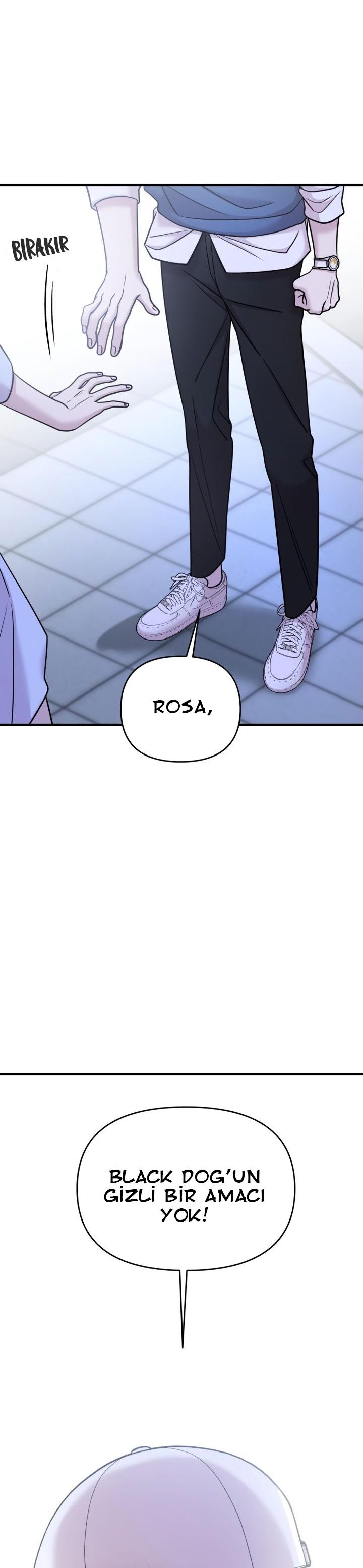 9-cmc1vvo430025phxcd4xhnki2