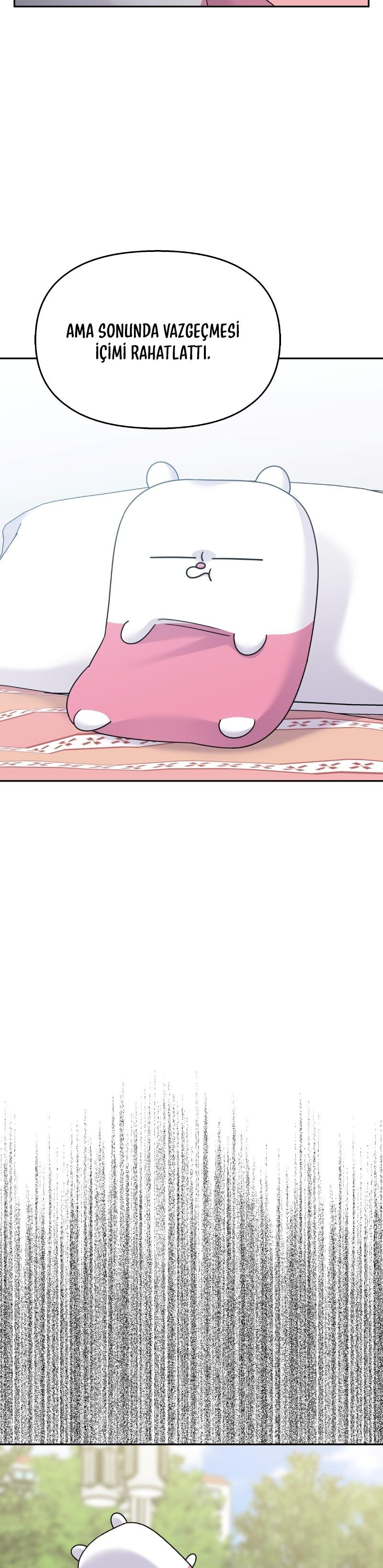 4-cm2xdfr0s0001tt82570od8ls