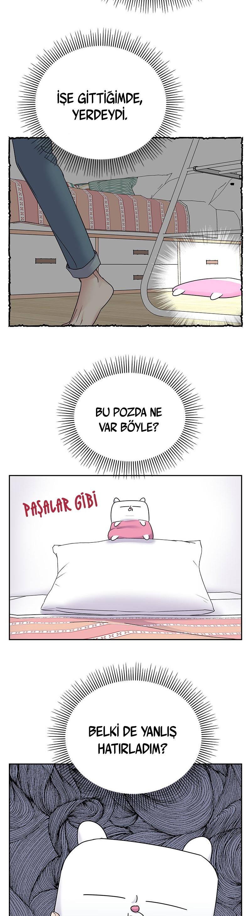 24-cm2xdfr0s0001tt82570od8ls
