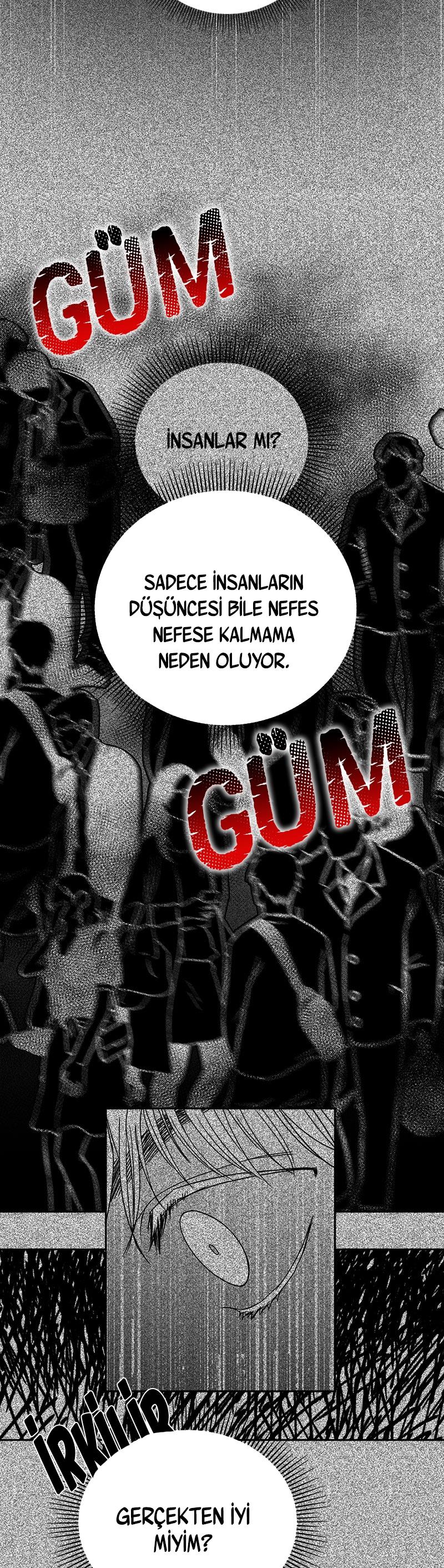 6-cm2xdfr0s0001tt82570od8ls