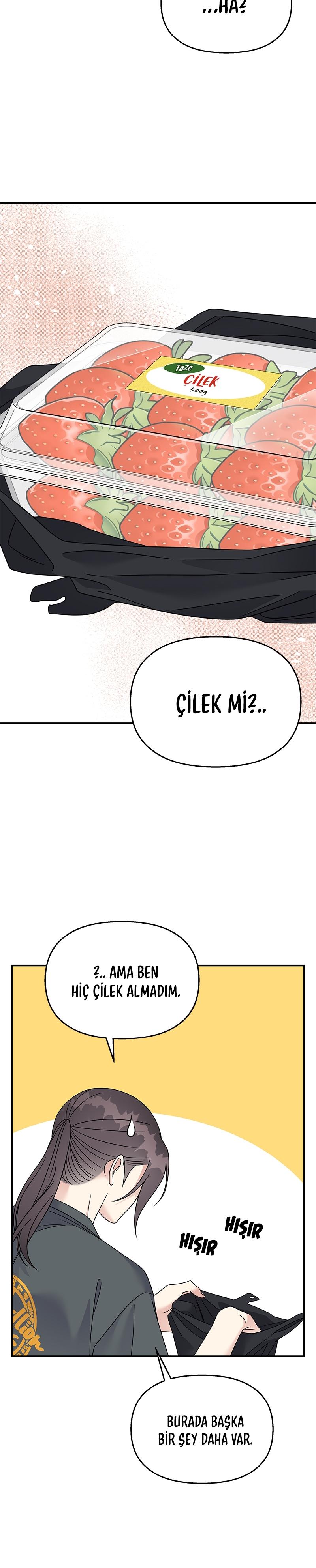 5-cm2xdfr0s0001tt82570od8ls
