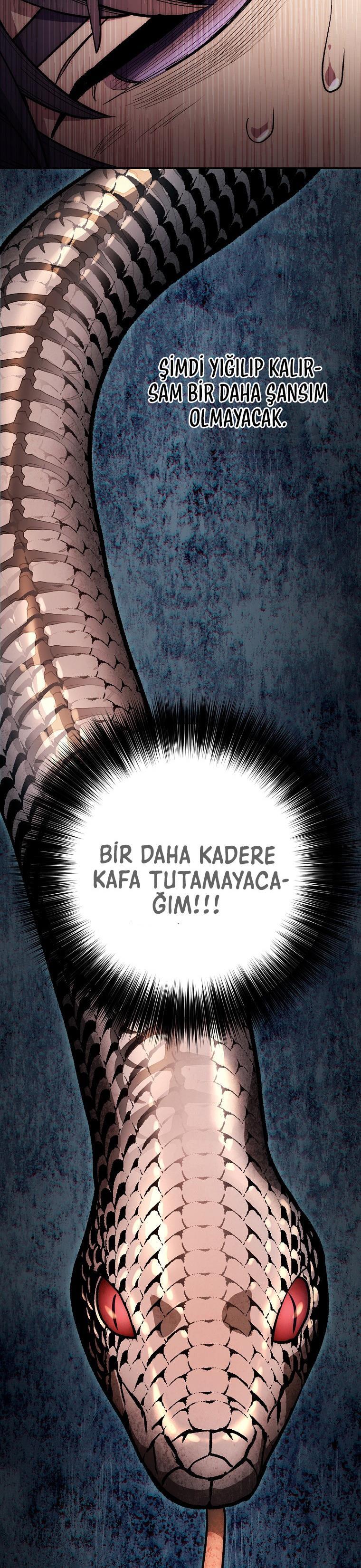 31-cm2xdfr0s0001tt82570od8ls