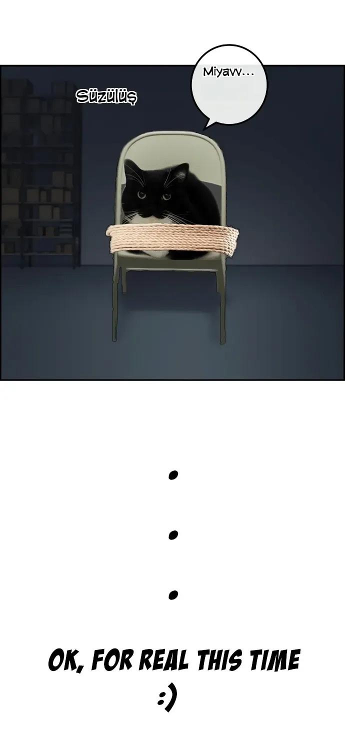 1-cmnq2268807i4ucwa0pciz3a1