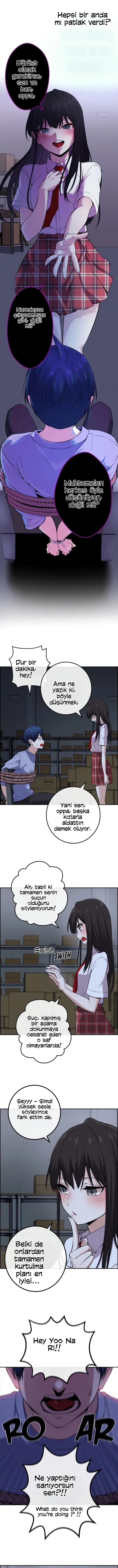 6-cmnq2268807i4ucwa0pciz3a1