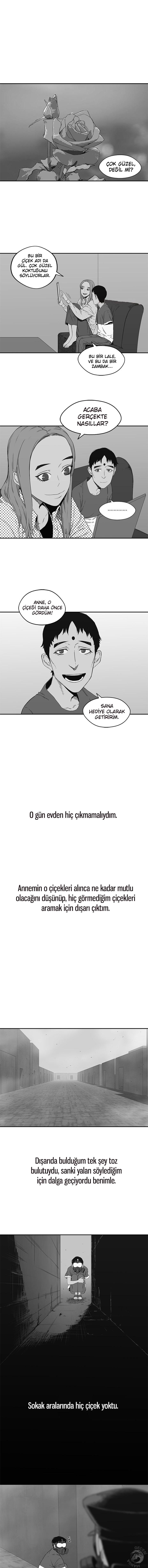 2-cm2xdfr0s0001tt82570od8ls