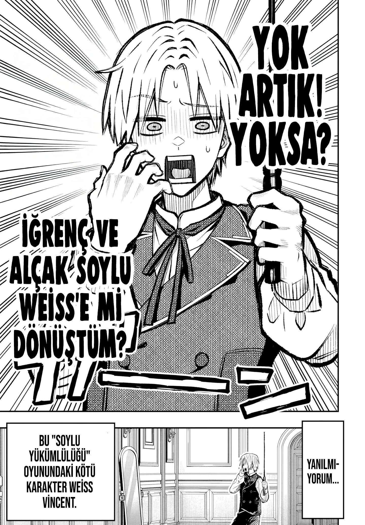 12-cm2rk5cgq0000q6obnukp4wev
