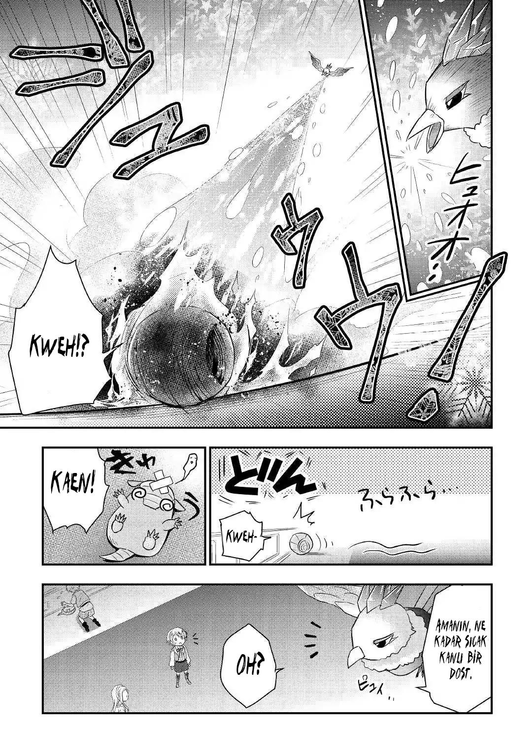 18-cm6cq9g7n0001ugugupru8x47