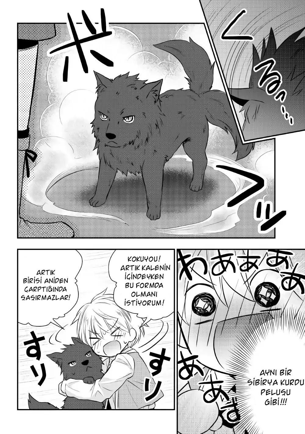 5-cm6cq9g7n0001ugugupru8x47