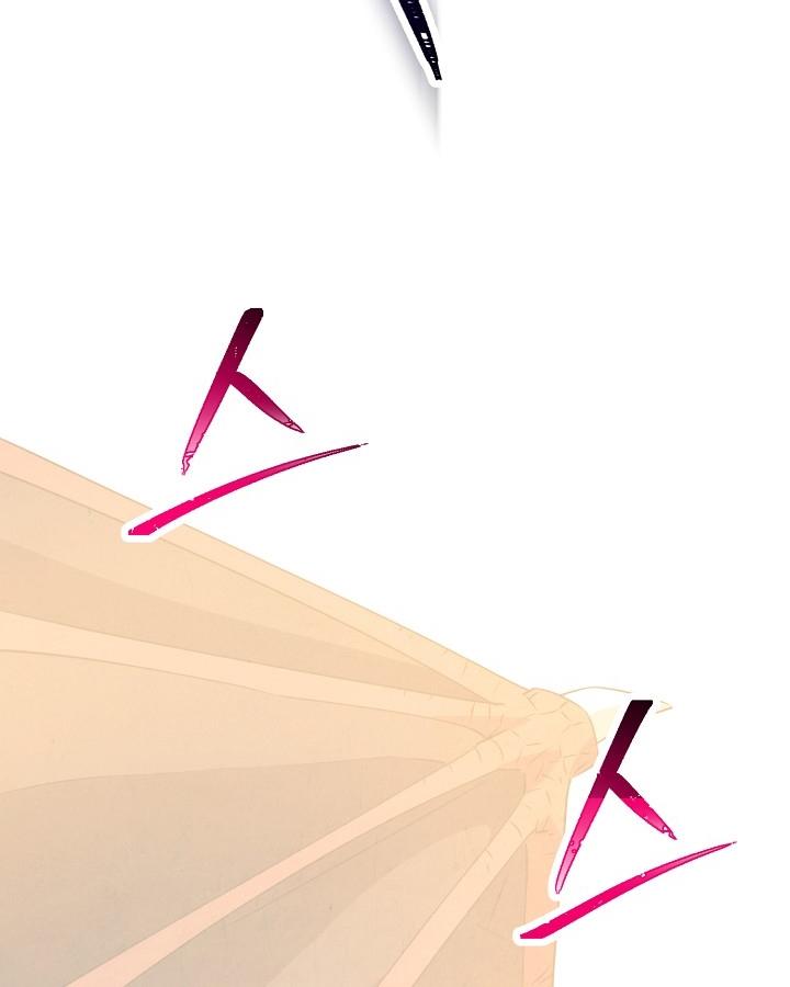 16-cm2xdfr0s0001tt82570od8ls