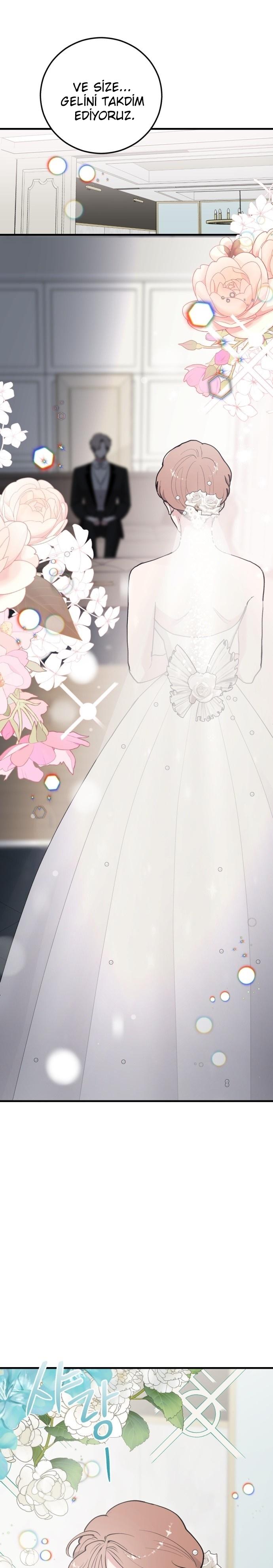 2-cm2xdfr0s0001tt82570od8ls