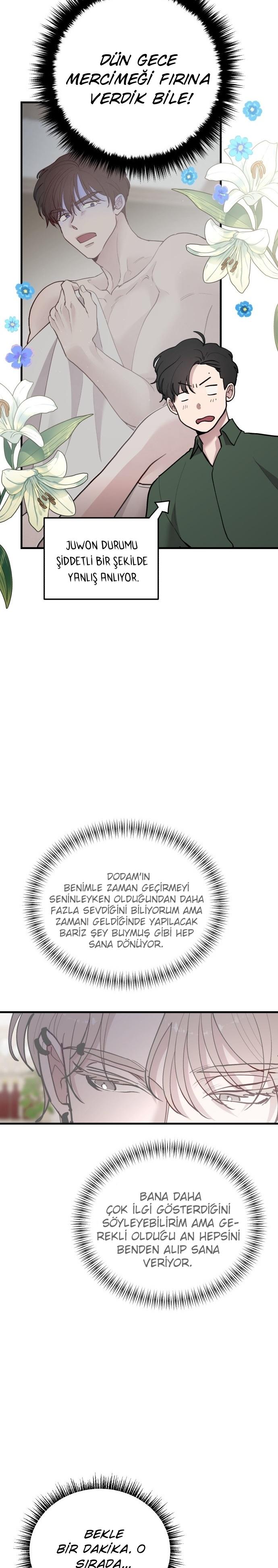 26-cm2xdfr0s0001tt82570od8ls