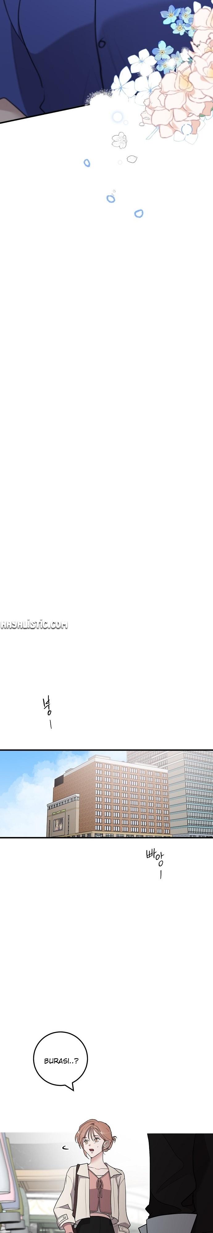 13-cm2xdfr0s0001tt82570od8ls