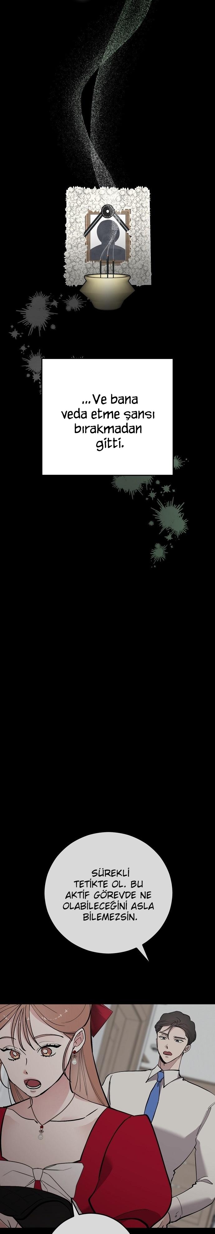 31-cm2xdfr0s0001tt82570od8ls