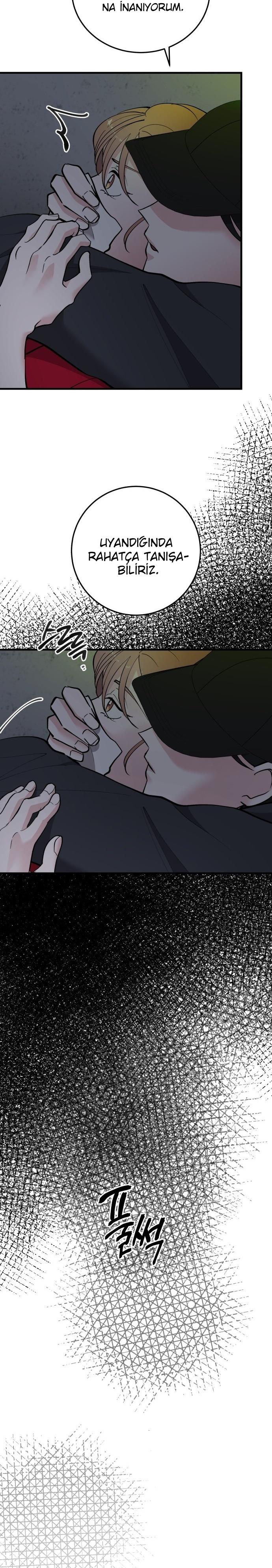 3-cm2xdfr0s0001tt82570od8ls
