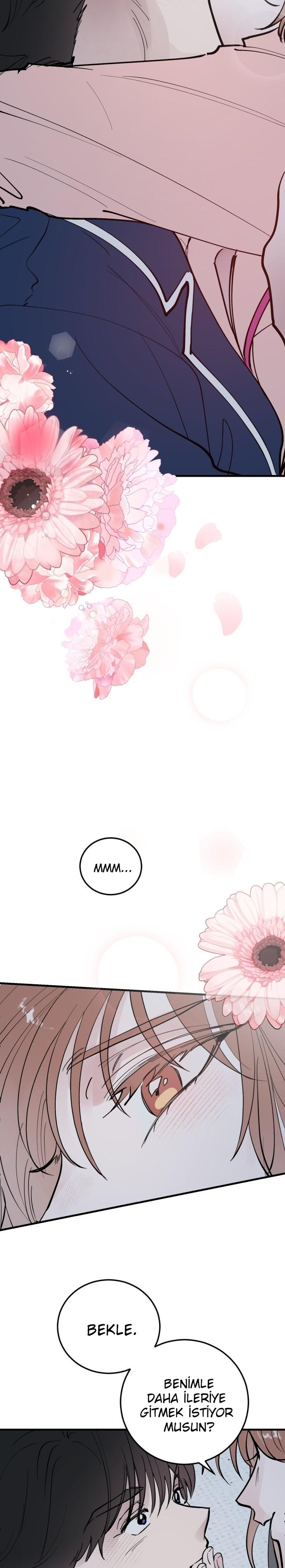 19-cm2xdfr0s0001tt82570od8ls